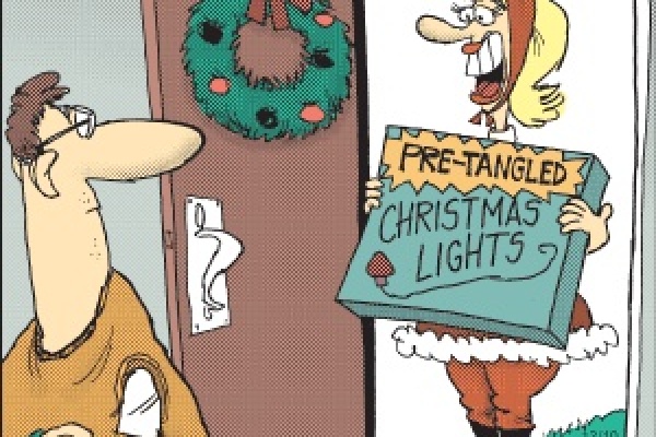 Christmas Light Installation