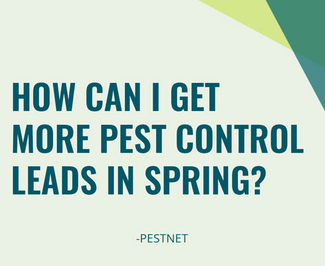 How Can I Get More Pest Control Leads in Spring?
