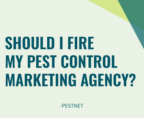 How Can I Get More Pest Control Leads in Spring? How Can I Get More Pest Control Leads in Spring?